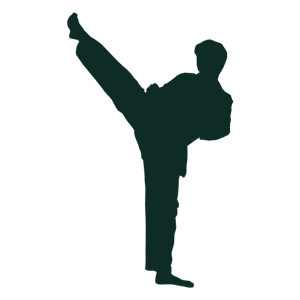 Karate PNG-55471